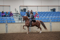 2019 Morgan Horse Show - Aug 30, 2019 - 26497