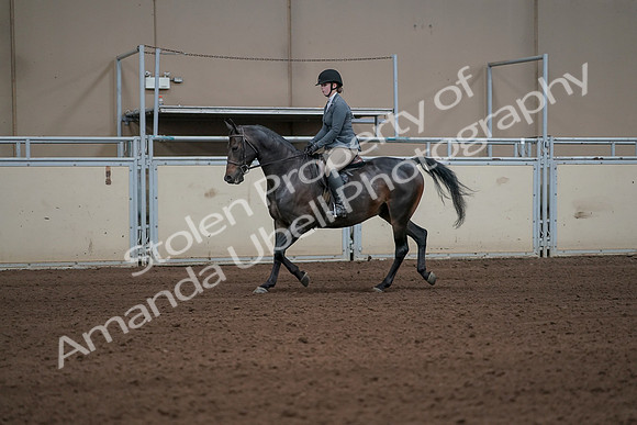 2019 Morgan Horse Show - Sept 01, 2019 - 10913