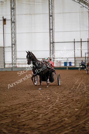 July 19, 2019 - 6694
