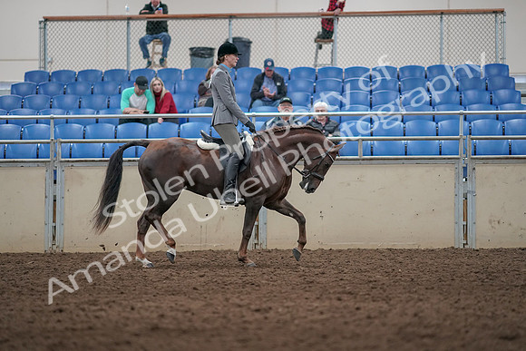 2019 Morgan Horse Show - Aug 31, 2019 - 07437