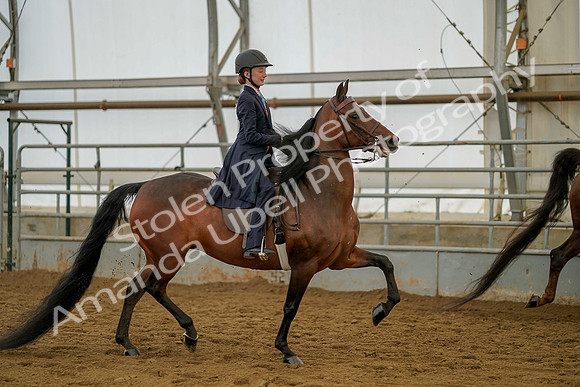 July 20, 2019 - 03823