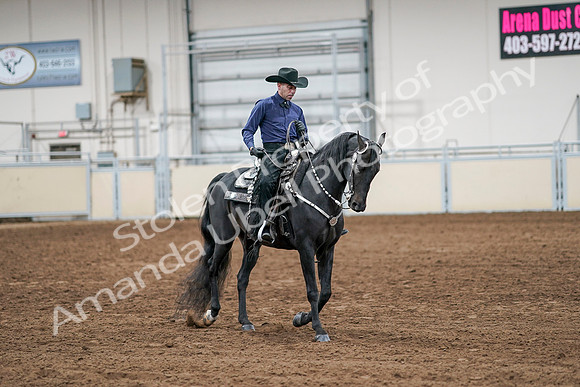 2020 - AB Morgan Horse - Sun, Sept 06 - 07619