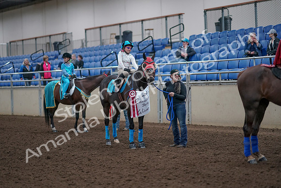 2019 Morgan Horse Show - Aug 31, 2019 - 10130