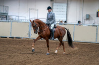 2020 - AB Morgan Horse - Fri, Sept 04 - 01459