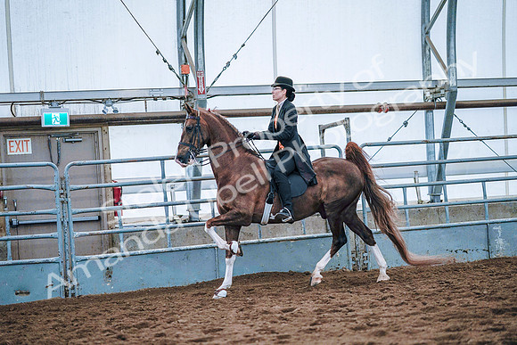 July 20, 2019 - 23928