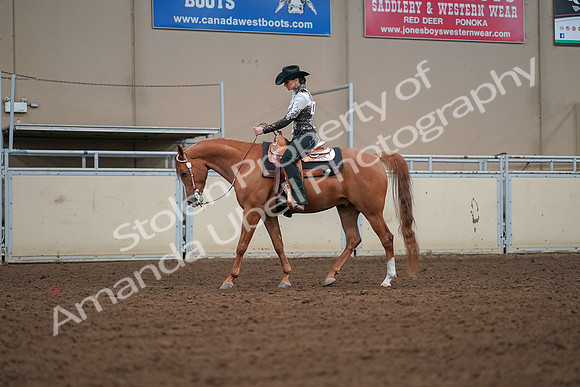 2019 Morgan Horse Show - Aug 30, 2019 - 16787