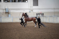 Spring Fling - Friday - April 19, 2019  -  03734