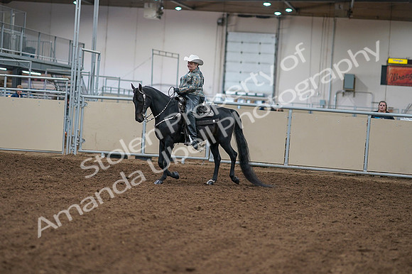 2020 - AB Morgan Horse - Fri, Sept 04 - 03494