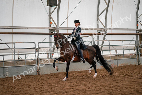 July 19, 2019 - 10521