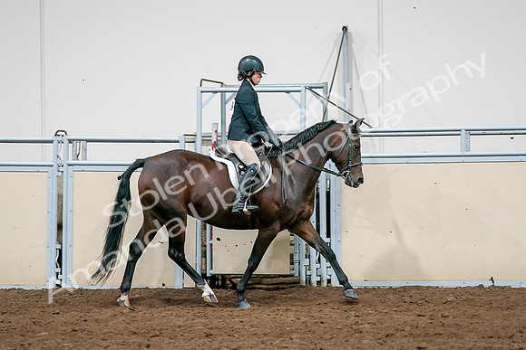 2020 - AB Morgan Horse - Sat, Sept 05 - 14549