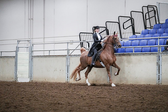 Spring Fling - Saturday - April 20, 2019  -  04332