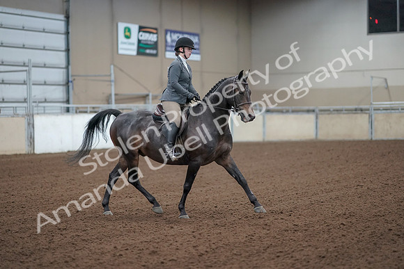 2019 Morgan Horse Show - Sept 01, 2019 - 11010