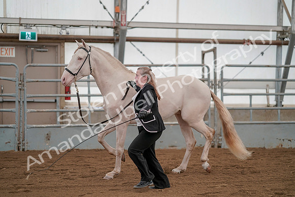 July 19, 2019 - 1331