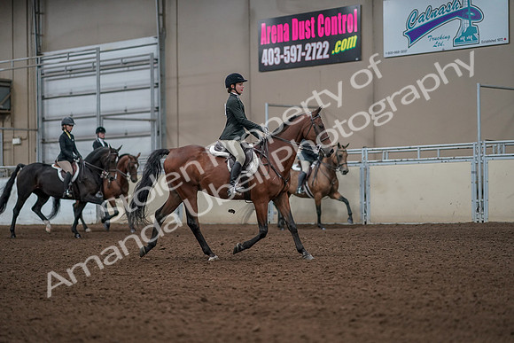 2019 Morgan Horse Show - Aug 31, 2019 - 05184