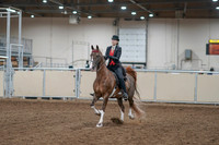 2020 - AB Morgan Horse - Fri, Sept 04 - 09496