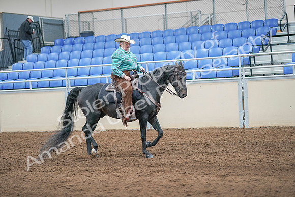 2020 - AB Morgan Horse - Sun, Sept 06 - 01632
