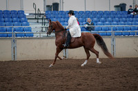 2019 Morgan Horse Show - Aug 31, 2019 - 17860