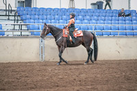 2019 Morgan Horse Show - Sept 01, 2019 - 05736