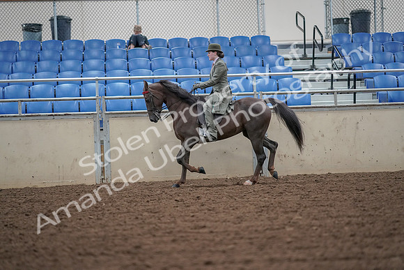 2019 Morgan Horse Show - Aug 30, 2019 - 15403