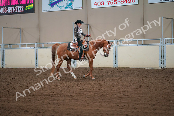 2019 Morgan Horse Show - Aug 30, 2019 - 16921