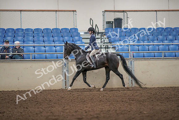 2019 Morgan Horse Show - Aug 31, 2019 - 04961