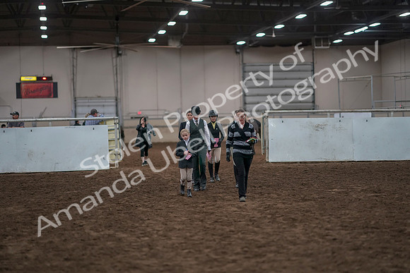 2019 Morgan Horse Show - Aug 31, 2019 - 03918