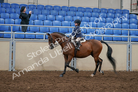 2020 - AB Morgan Horse - Sun, Sept 06 - 07686
