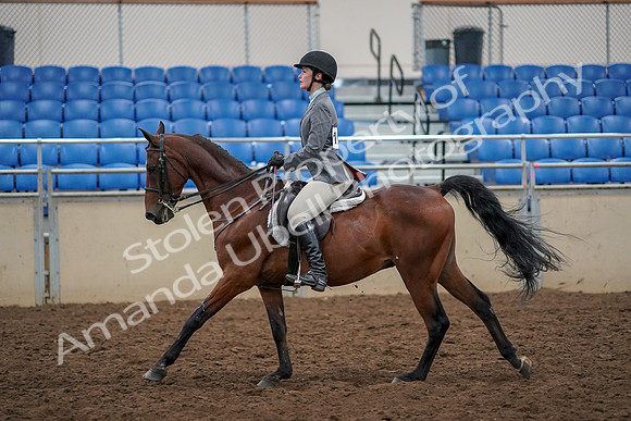 2019 Morgan Horse Show - Aug 30, 2019 - 23465