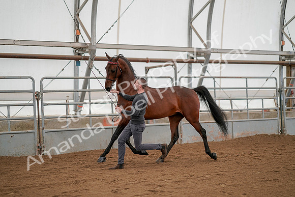 July 19, 2019 - 1175