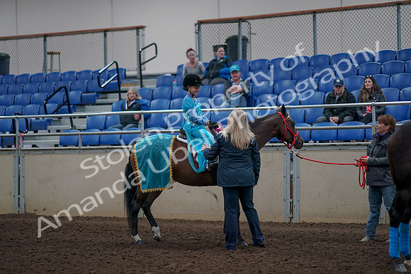 2019 Morgan Horse Show - Aug 31, 2019 - 10208