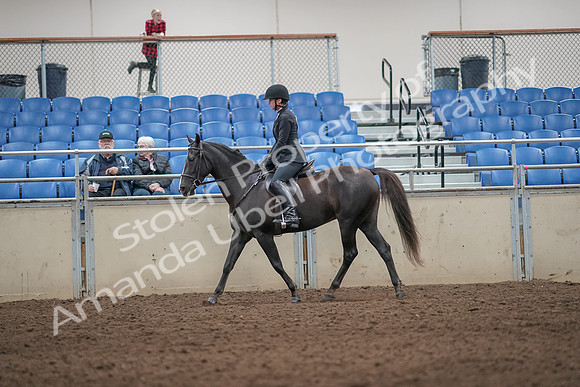 2019 Morgan Horse Show - Aug 31, 2019 - 07190
