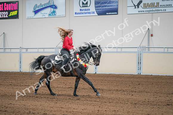 2020 - AB Morgan Horse - Sat, Sept 05 - 10554