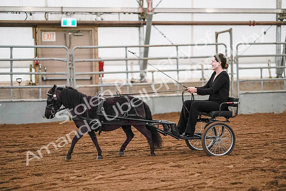 July 19, 2019 - 7021