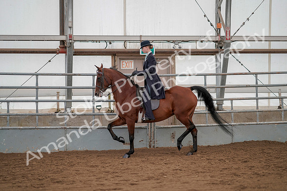 July 20, 2019 - 04311