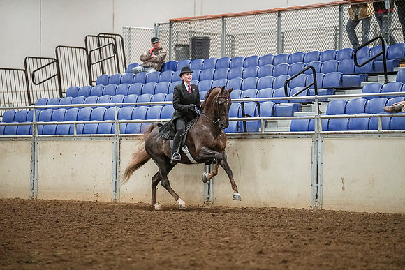 Spring Fling - Saturday - April 20, 2019  -  03603