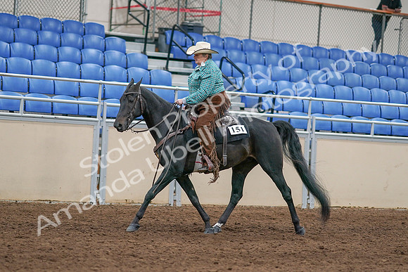 2020 - AB Morgan Horse - Sun, Sept 06 - 01619