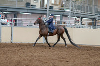 2020 - AB Morgan Horse - Sat, Sept 05 - 04747