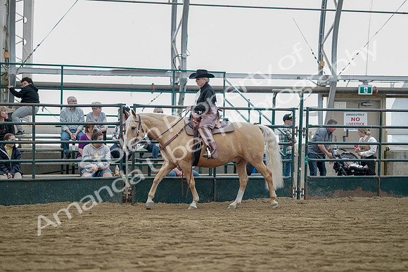 July 21, 2019 - 06534