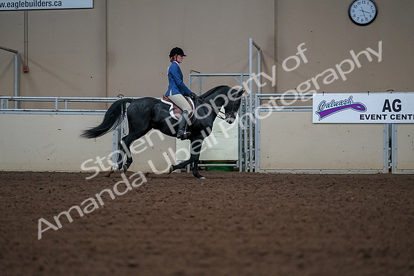 2019 Morgan Horse Show - Aug 30, 2019 - 18622