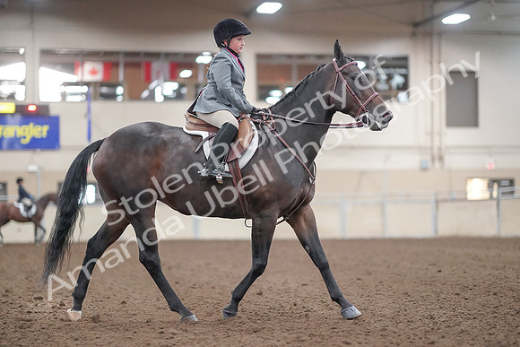 2019 Morgan Horse Show - Aug 31, 2019 - 19656