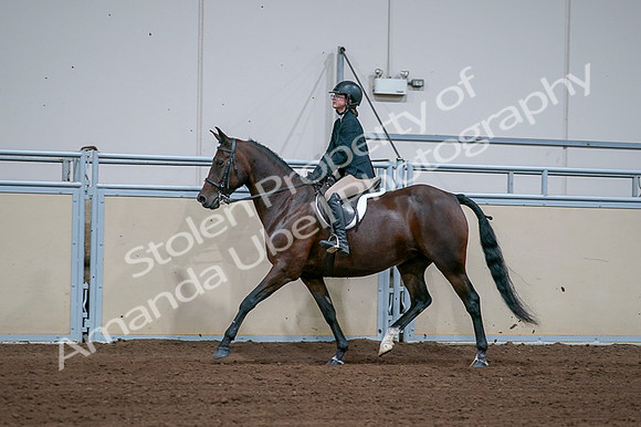 2020 - AB Morgan Horse - Fri, Sept 04 - 01669