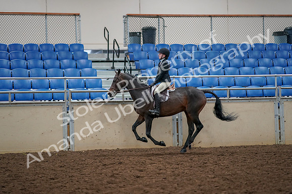 2019 Morgan Horse Show - Aug 30, 2019 - 23452
