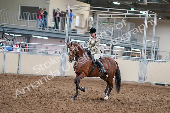 2020 - AB Morgan Horse - Sat, Sept 05 - 14350