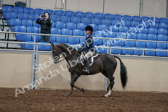 2020 - AB Morgan Horse - Sun, Sept 06 - 07748