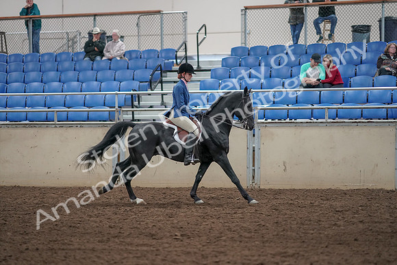 2019 Morgan Horse Show - Aug 31, 2019 - 07526