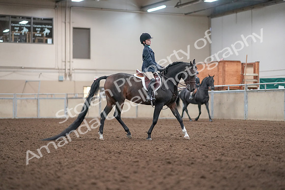 2019 Morgan Horse Show - Aug 31, 2019 - 19617