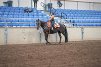 2019 Morgan Horse Show - Sept 01, 2019 - 05720