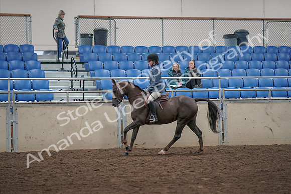 2019 Morgan Horse Show - Aug 31, 2019 - 07339