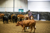 Herd Work - Rein Box