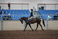 2019 Morgan Horse Show - Aug 31, 2019 - 08042